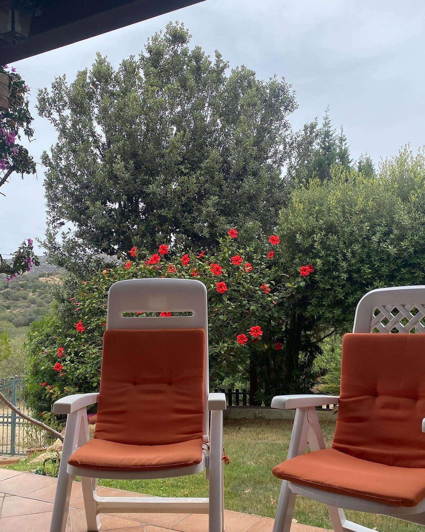 Giardino